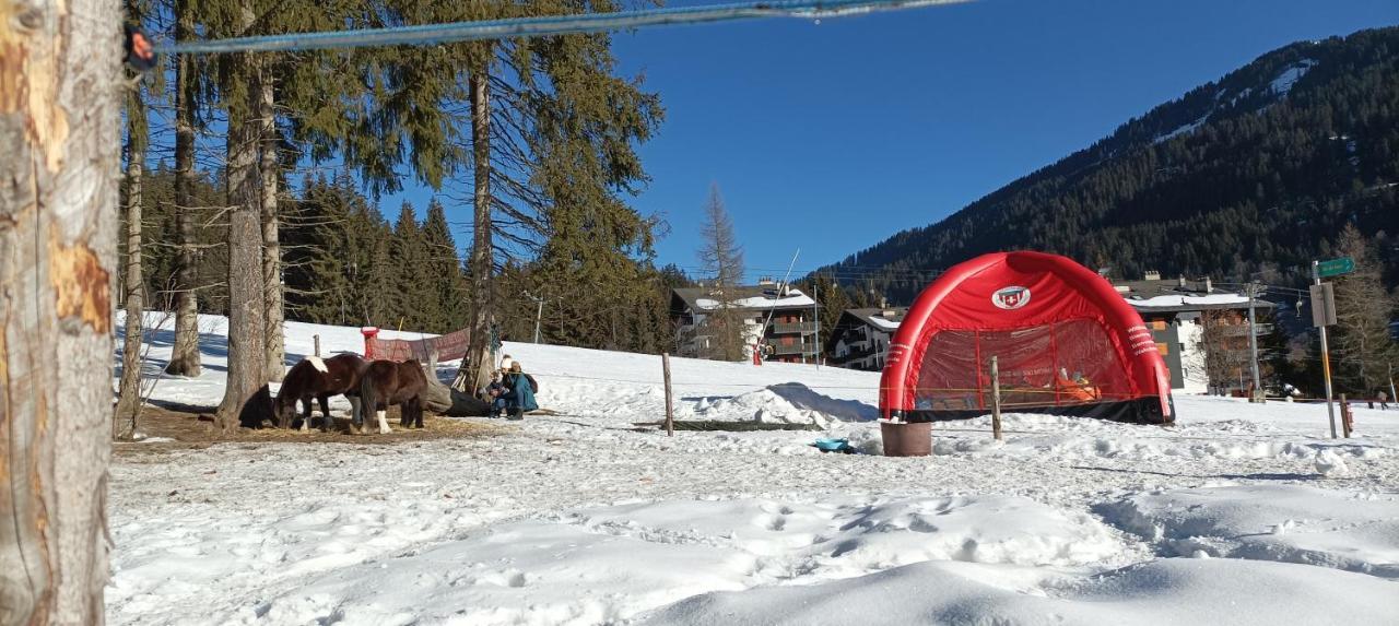 Studio Appartement Avec Piscine, Ski Porte Du Soleil Morgins, Ps3 Games, Wash & Bring Sheets Eksteriør billede